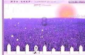 时尚女孩大采购