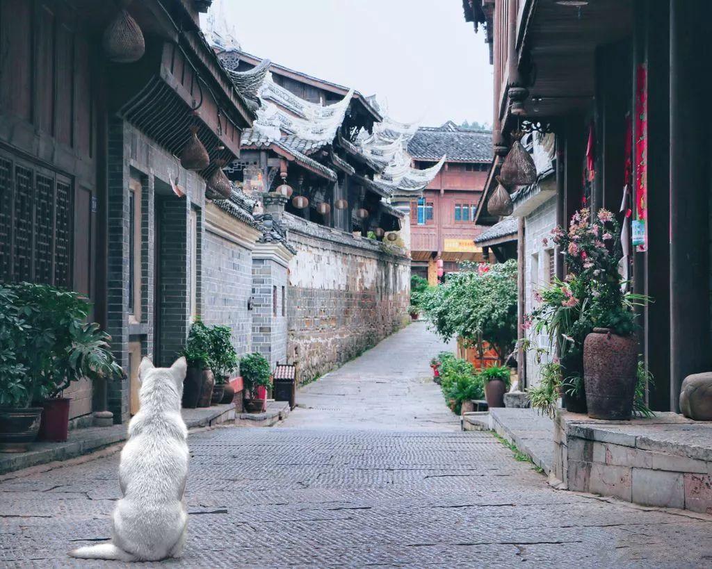 逃离破旧弃城